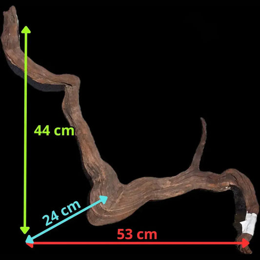 Drift Wood - 53*24*44 - cod.001 AQPET