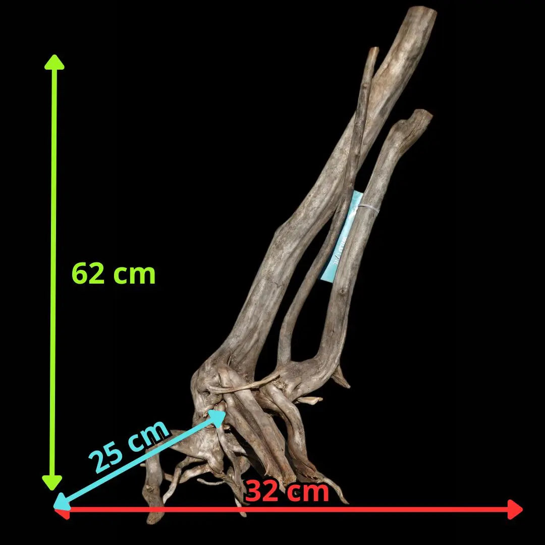 Stump Wood - 32*25*62 - cod.009 AQPET