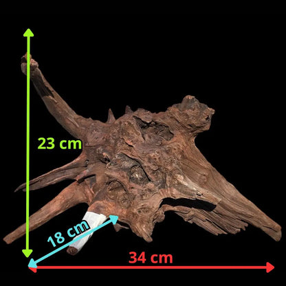 Drift Wood - 34*18*23 - cod.012 AQPET