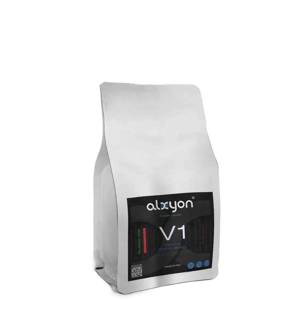 ALXYON Substrate V1 ALXYON