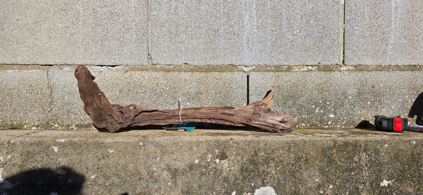 Drift Wood -49*14*15 - cod.001 (copia) AQPET