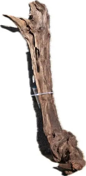 Drift Wood -49*14*15 - cod.001 (copia) AQPET