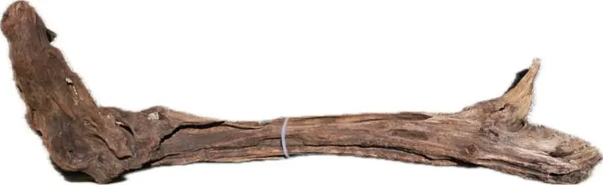 Drift Wood -49*14*15 - cod.001 (copia) AQPET